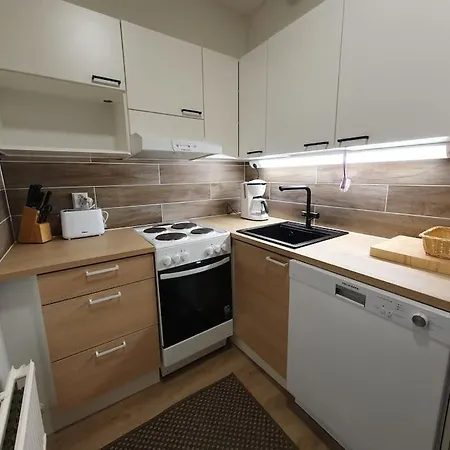 Kaksio Keskustan Vieressae *